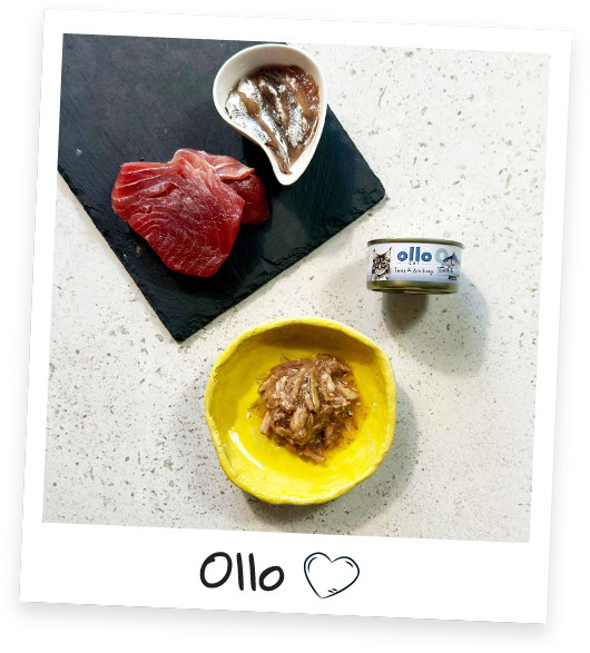 OLLO Cat nr 9 Tuna & Anchovy in broth - mokré krmivo pro kočky - 70g - foto 2
