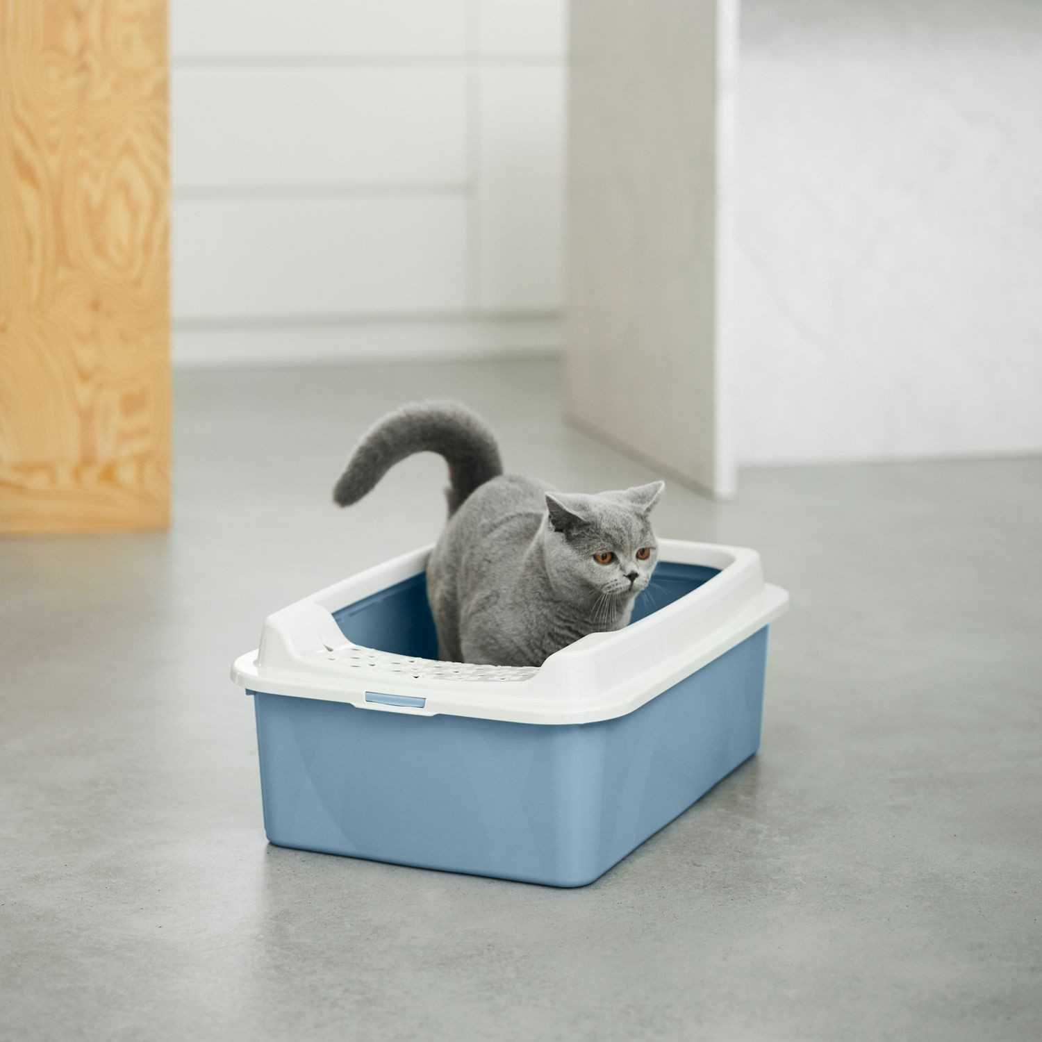 ROTHO Bonnie Eco Blue - podestýlka pro kočky - foto 3