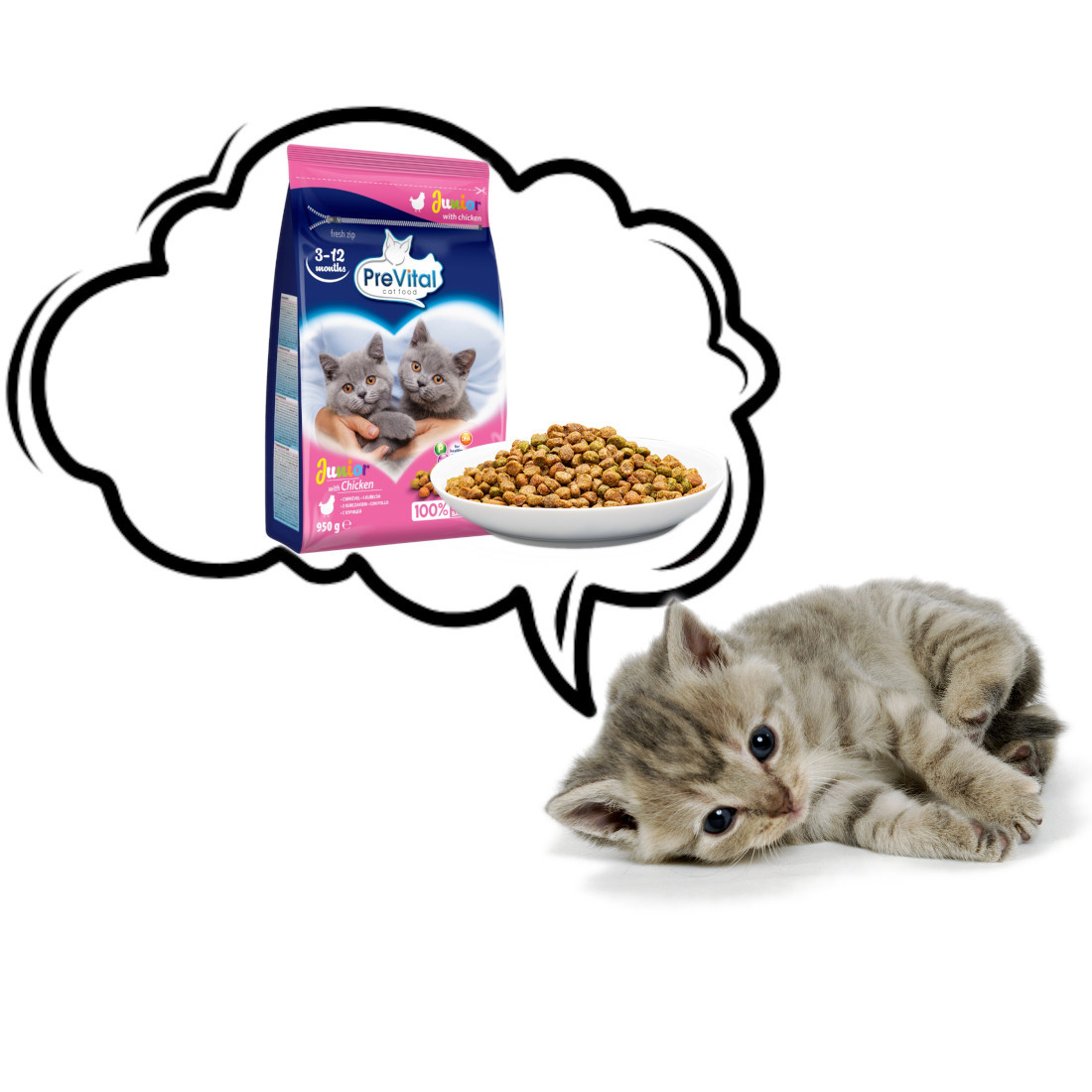 PREVITAL Junior Chicken - suché krmivo pro kočky - 950g - foto 6