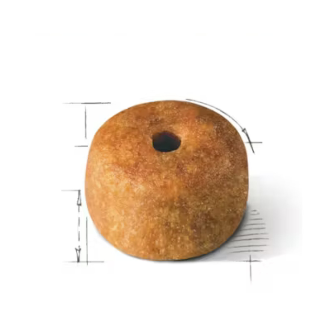 ROYAL CANIN Siamese Adult - suché krmivo pro kočky - 2 kg - foto 2