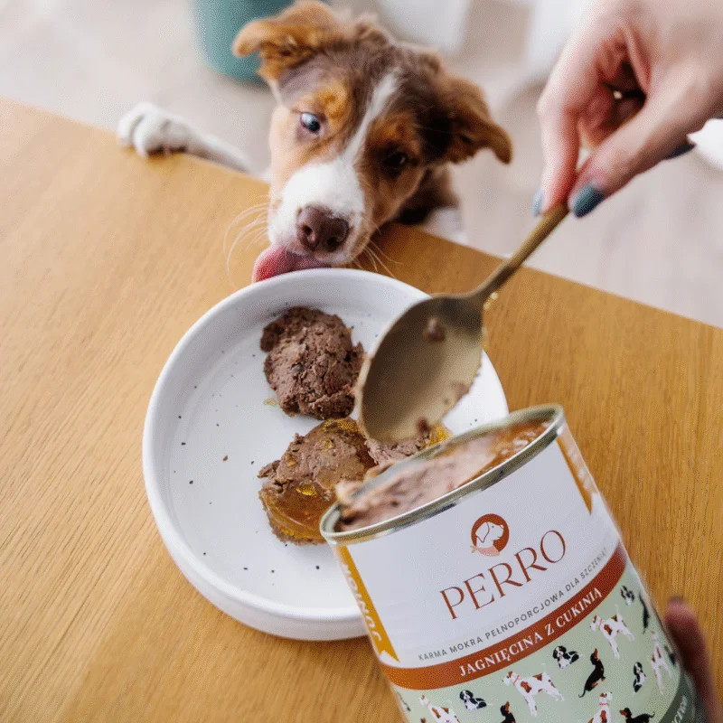 PERRO Junior Mono Lamb with Zucchini - vlhké krmivo pro psy - 800g - foto 2