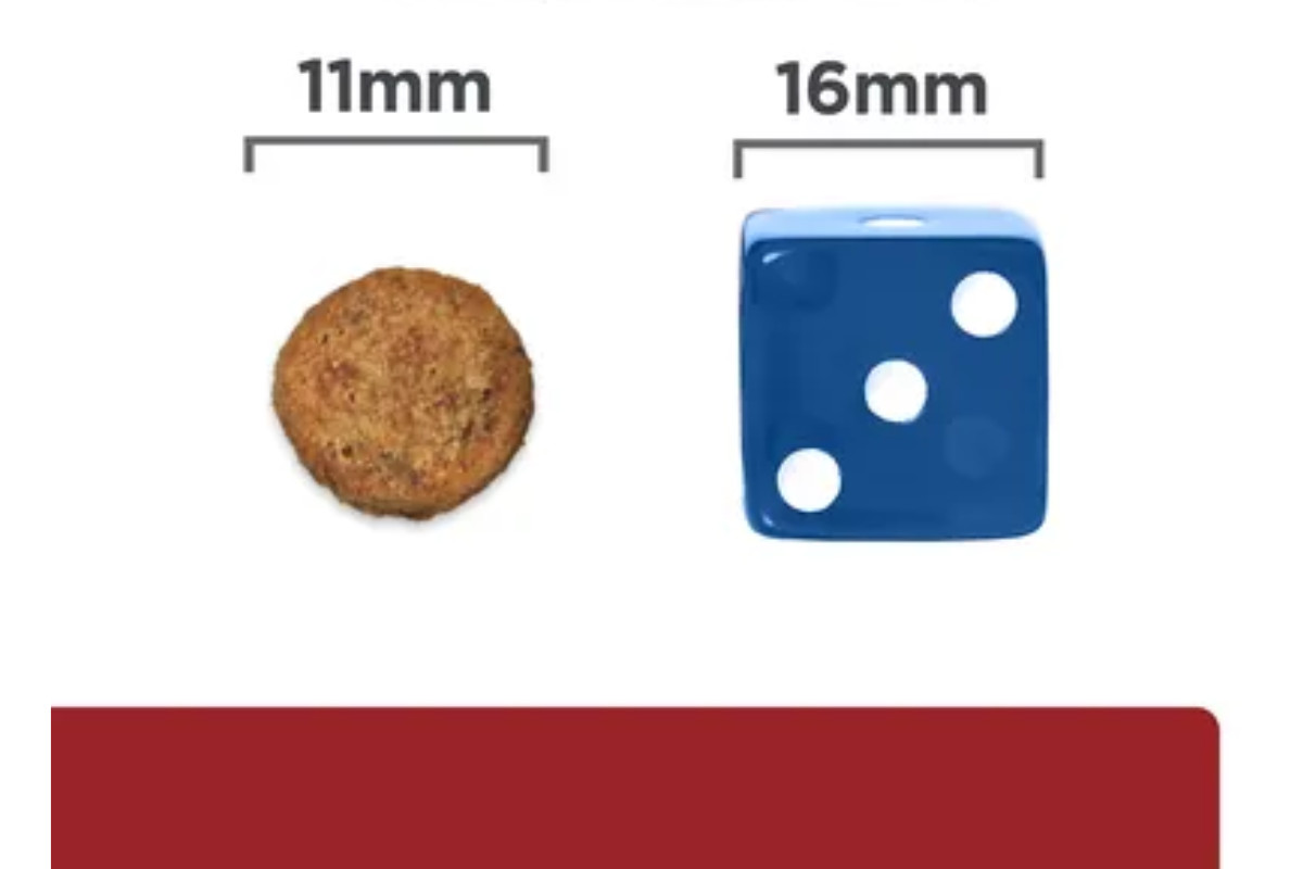 HILL'S PD Canine Digestive Care i/d - suché krmivo pro psy - 4 kg - foto 3