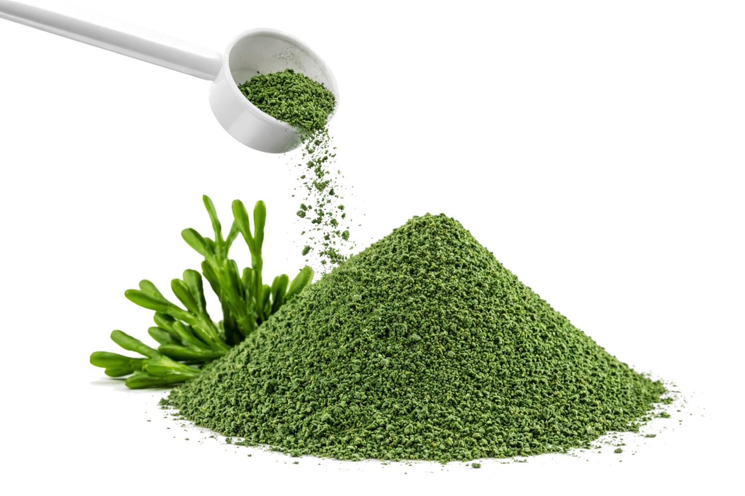 POKUSA RawDietLine Alga - doplňky stravy pro psy a kočky - 350g - foto 3