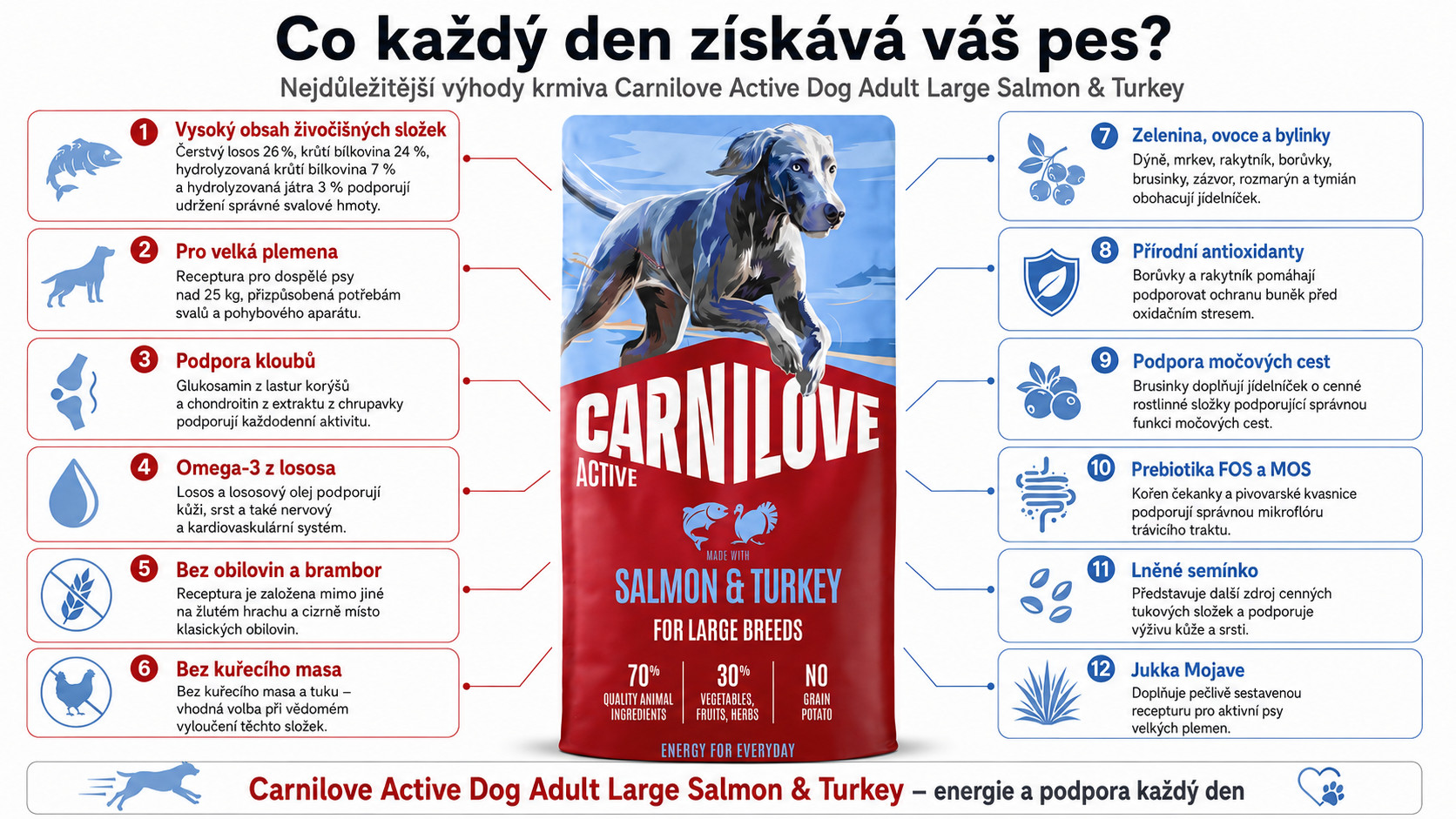 CARNILOVE Active Dog Adult Large Salmon&turkey - suché krmivo pro psy - 12kg - foto 1