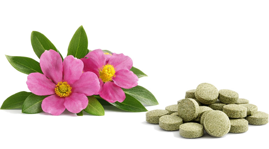 POKUSA RawDietLine Cistus - doplňky stravy pro psy a kočky - 120 ks - foto 2