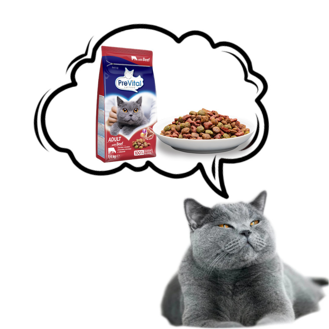 PREVITAL Cat Food Adult s hovězím - suché krmivo pro kočky - 1,4 kg - foto 5