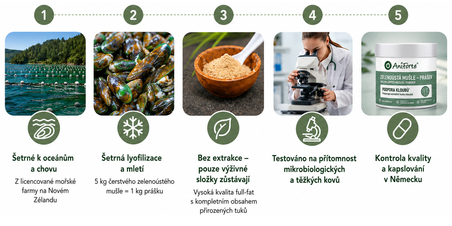 ANIFORTE Green lipped mussel - doplňky stravy pro psy a kočky - 100g - foto 2