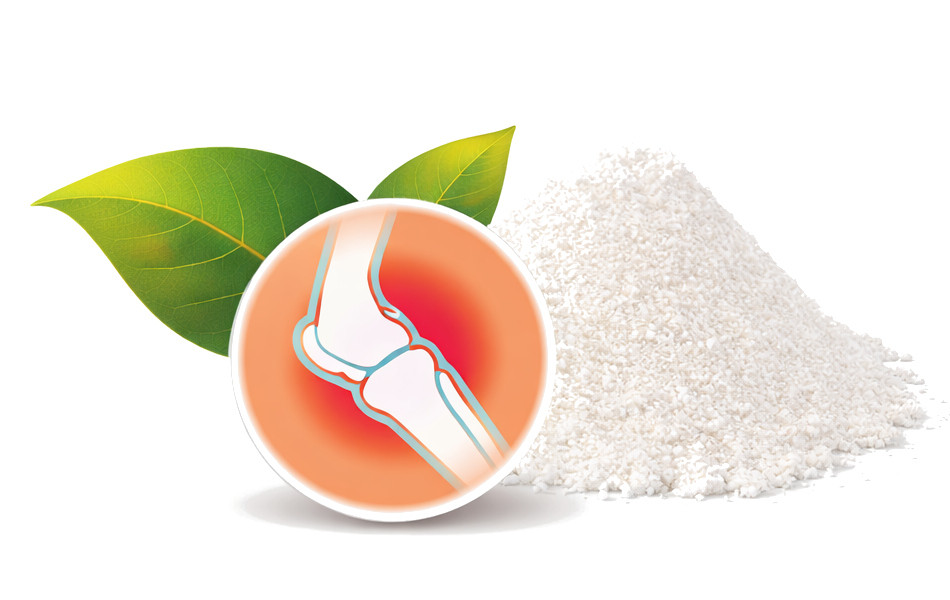 POKUSA RawDietLine Collagen - doplňky stravy pro psy a kočky - 200g - foto 2