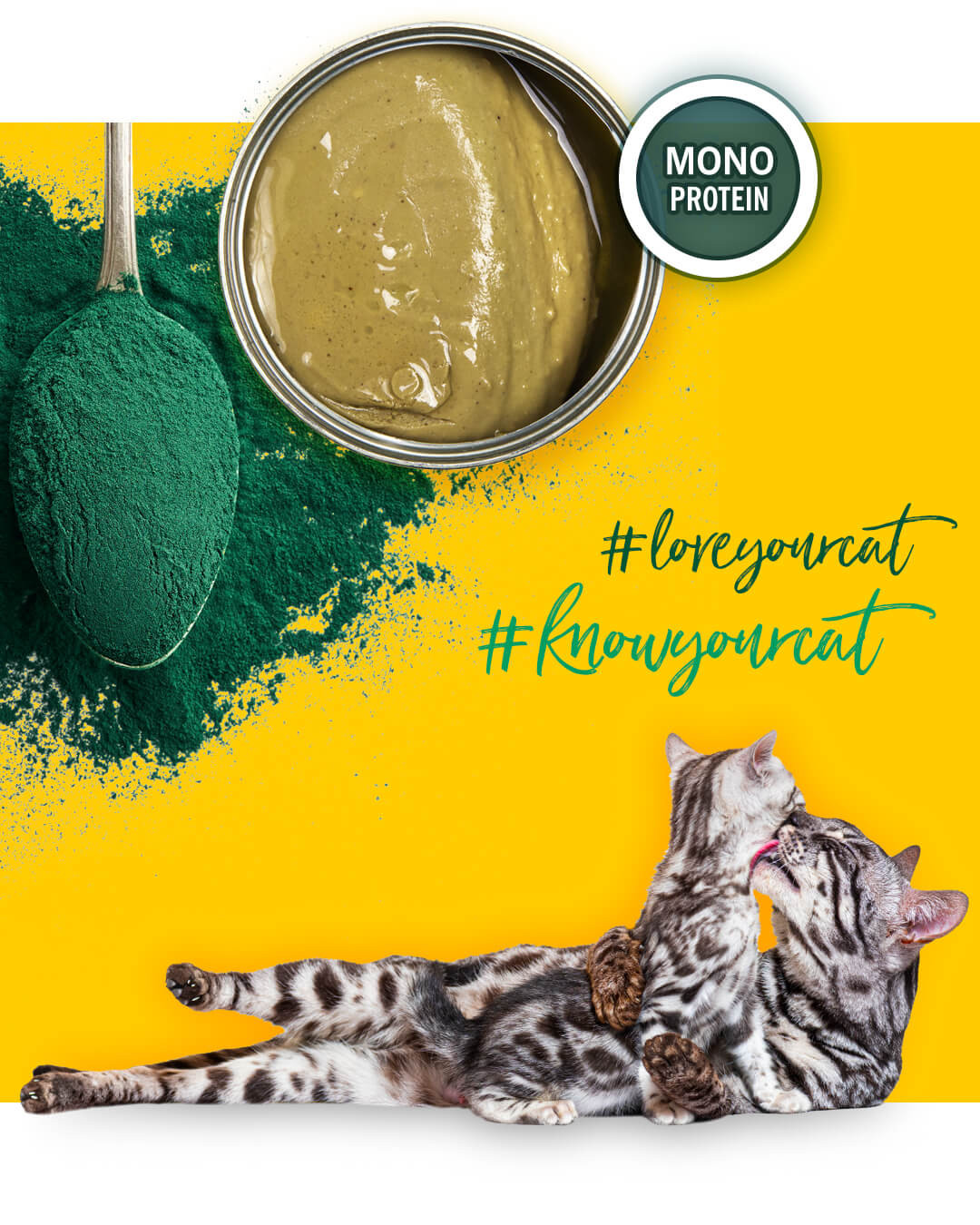 3COTY Chicken with spirulina For kittens and nursing cats - mokré krmivo pro kočky - 80g - foto 5