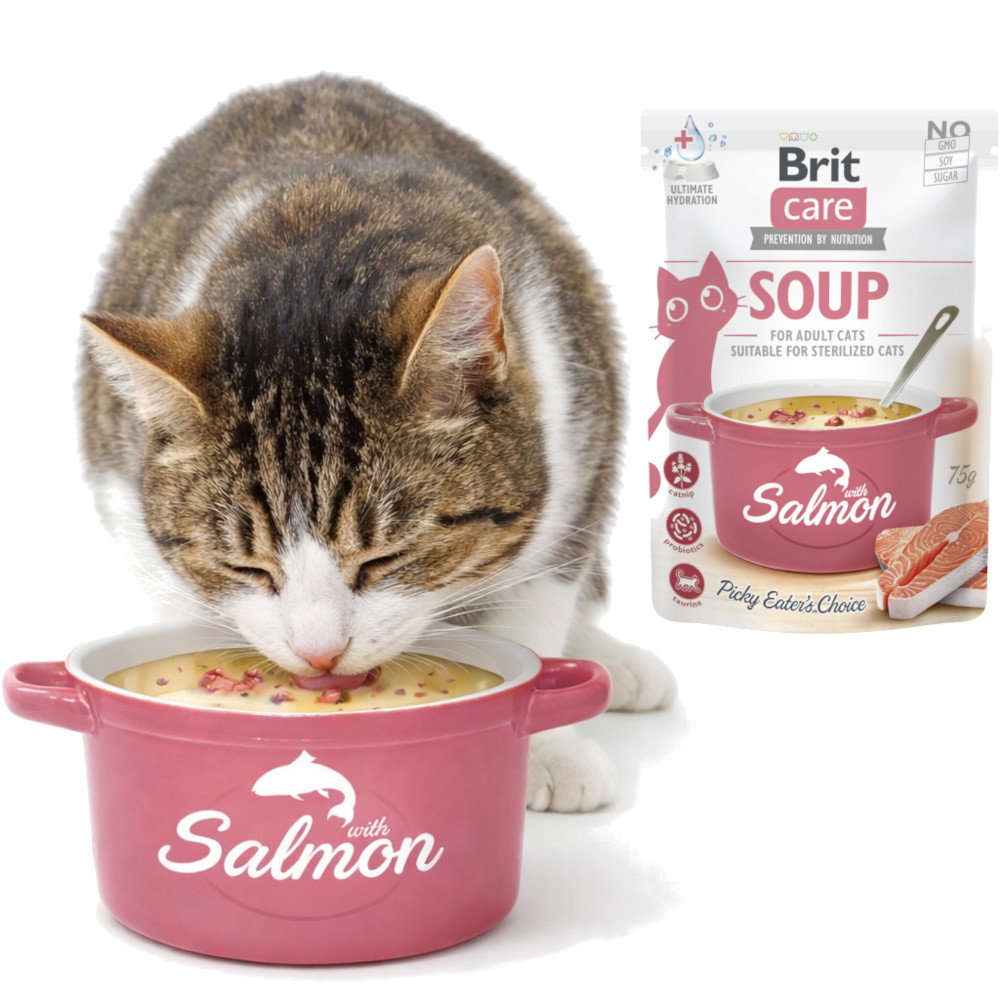 BRIT Care Soup Salmon - polévka pro kočku - 75g - foto 3
